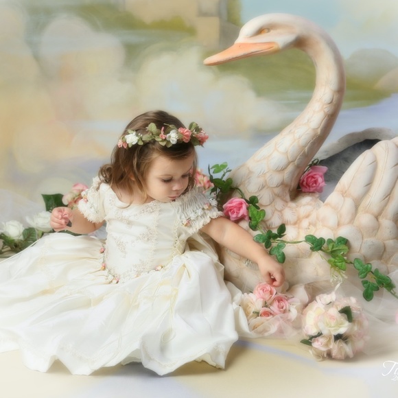 Gold Flower Girl Party Dress Princess Formal Special Occasion Size 2 NWT - Picture 12 of 12